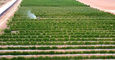 farm agriculture field California