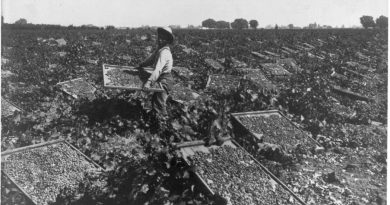 Fresno County agriculture
