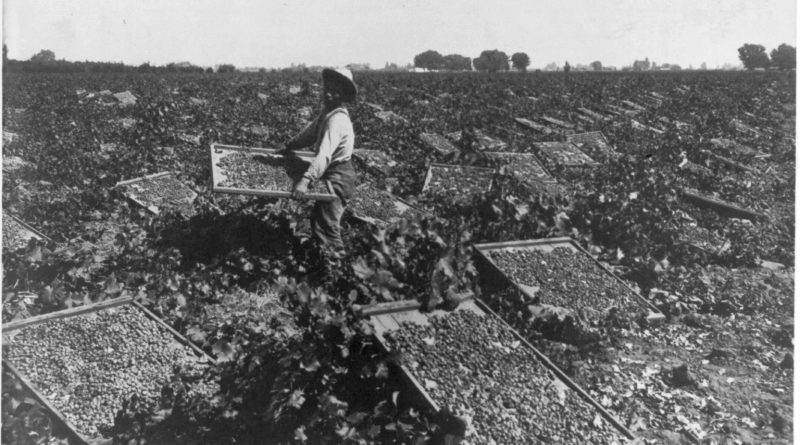 Fresno County agriculture