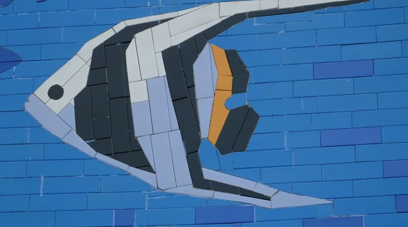 Central Fish