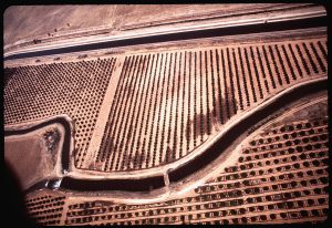 Fresno Irrigation District Completes $6 Million Groundwater Basin to Meet State Deadline