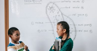 public school classroom students