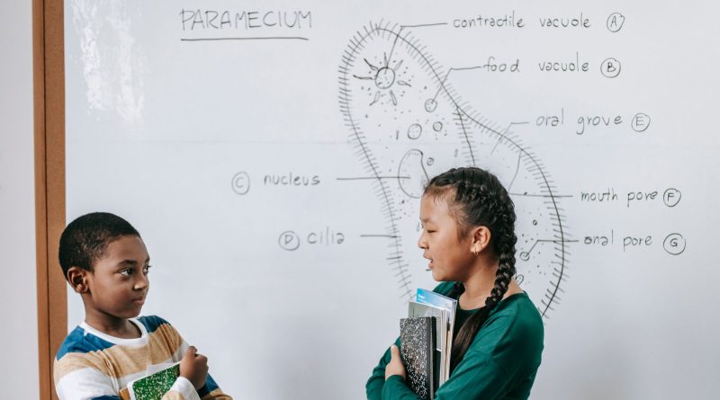 public school classroom students