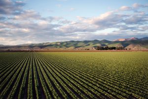 Fresno Growers Press Congressman Costa on Trade Rules as U.S.-Canada Tariff Fight Threatens Valley Exports