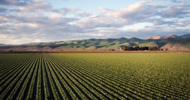 farm agriculture field California