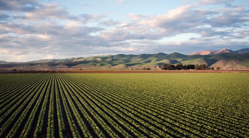 farm agriculture field California