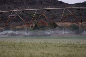 Farmers Sue Pleasant Valley Water Board Over Alleged Control Scheme