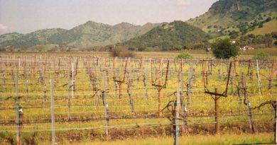 farm agriculture field California