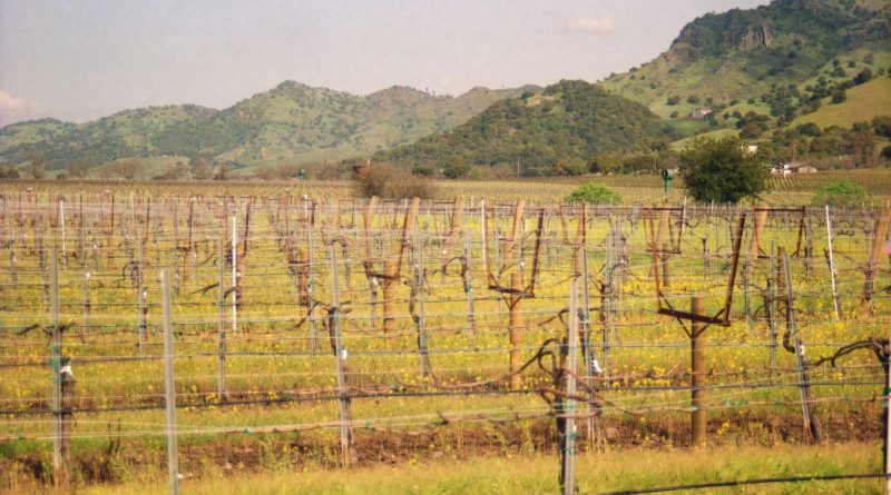farm agriculture field California