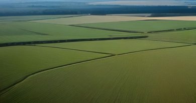 farm agriculture field California
