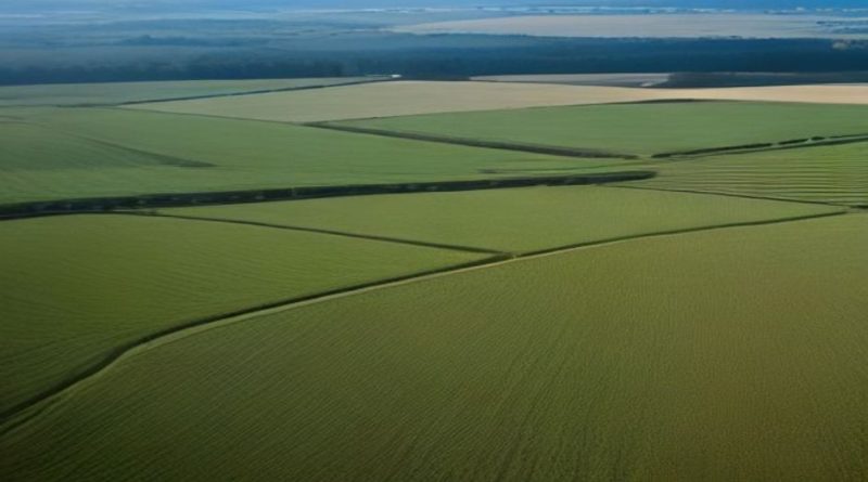 farm agriculture field California