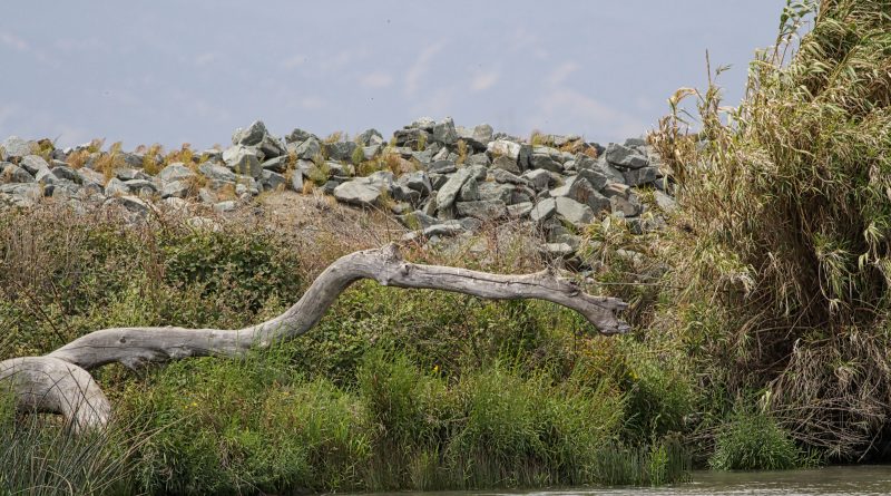 Sacramento-San Joaquin Delta