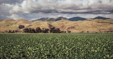 farm agriculture field California