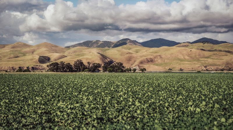 farm agriculture field California