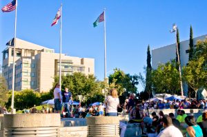 Fresno City Council Blocks SEDA Funding Initiative, Passes Transit Tax Measure