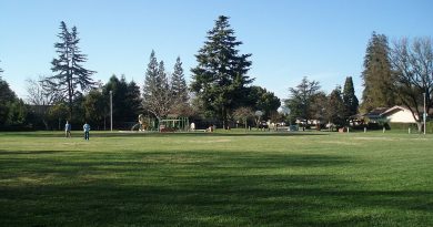 Tenaya Park, Fresno