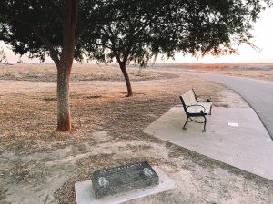 Fresno Council Greenlights $3.1M Wildlife Grant Bid for River West Trail Extension Planning