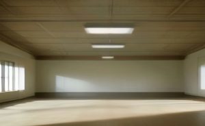 Fresno City Council Approved $991,000 for UV Fixtures in 2020, but Record Offers No Evidence They Were Installed