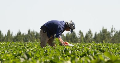 Central Valley families report fear, detentions as ICE enforcement operation continues