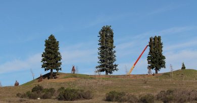 Planning Commission to Hear Appeal of 80-Foot Cell Tower Approved Near Highway 41
