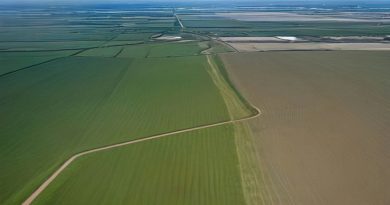 Central Valley House Race Could Tip Congressional Control — What's Really at Stake