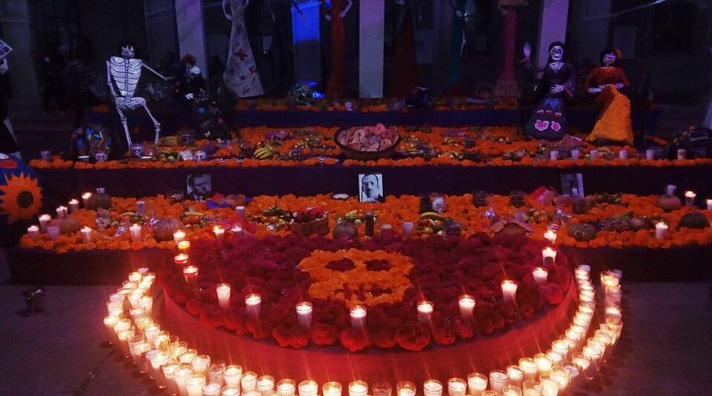 Fresno Chaffee Zoo Cancels Día de los Muertos Event Over ICE Enforcement Fears
