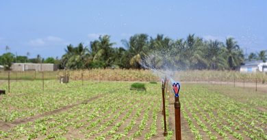Westlands Farmers Get Surprise Water Boost After District Manager Surveys Groundwater Need